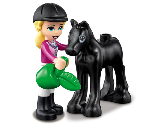 Horse Training and Trailer