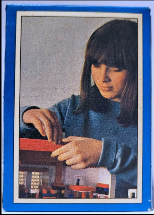 2 x 2 Bricks (The Building Toy)
