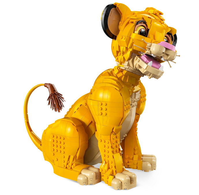 Mladý Simba z Levieho kráľa