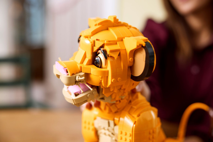 Mladý Simba z Levieho kráľa