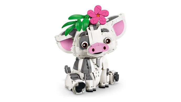 Pua