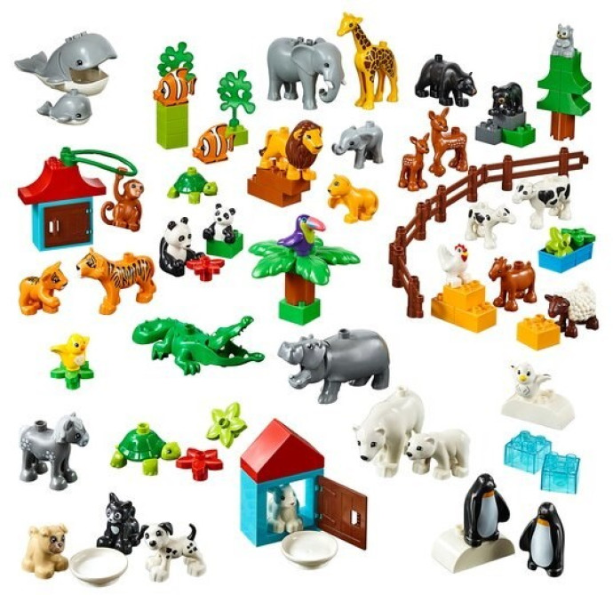 Animals
