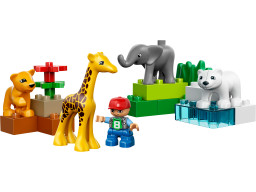 Baby Zoo