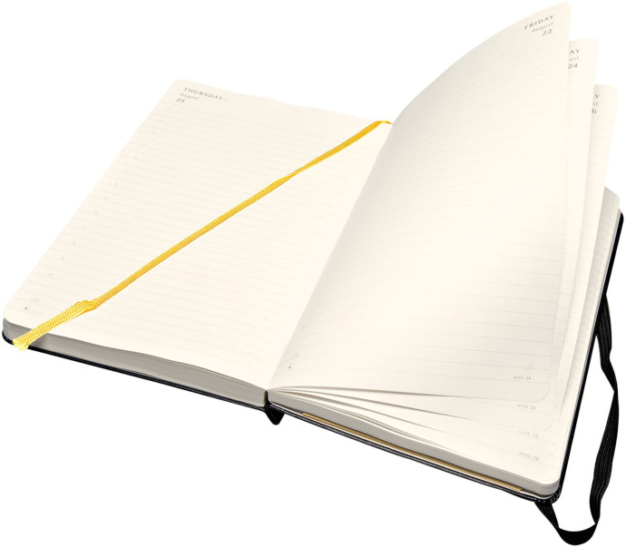 Moleskine 2014 Large Daily Planner