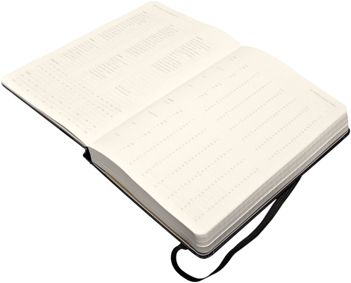 Moleskine 2014 Large Daily Planner