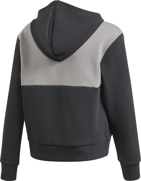 Adidas Bricks Boxy Hoodie