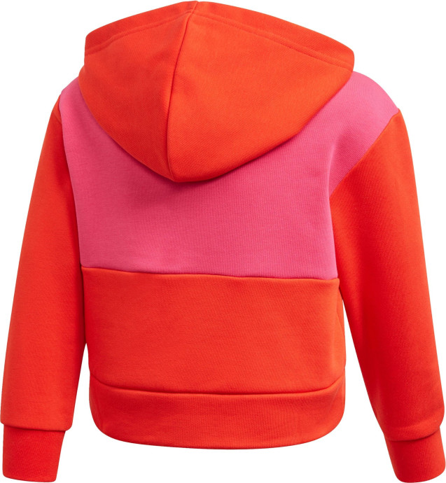 Adidas Hoodie and Pants Set