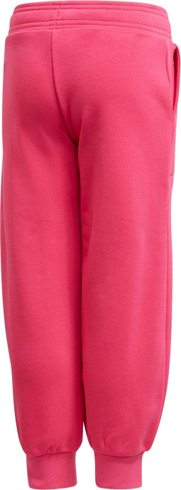 Adidas Hoodie and Pants Set
