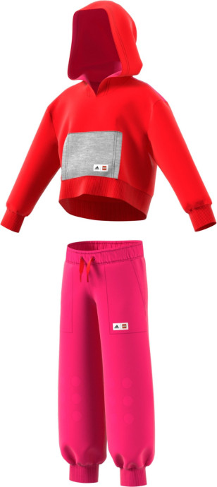 Adidas Hoodie and Pants Set