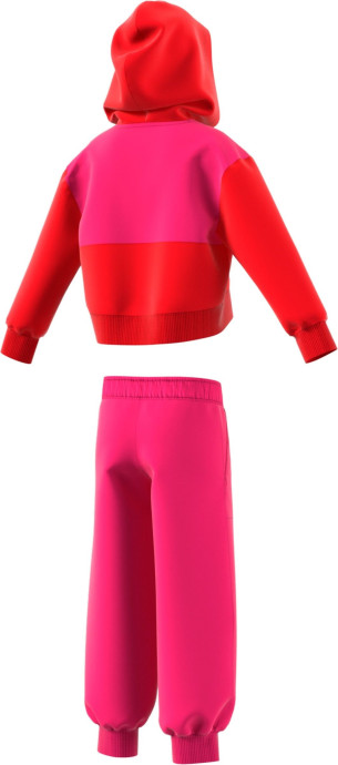 Adidas Hoodie and Pants Set