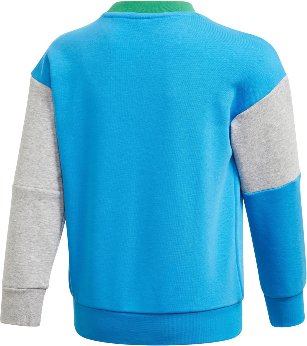 Adidas Sweatshirt and Pants Set