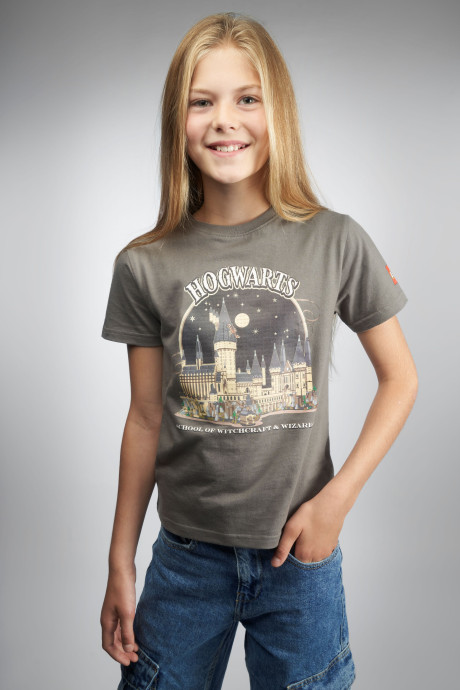 Harry Potter™ Tričko – sivé