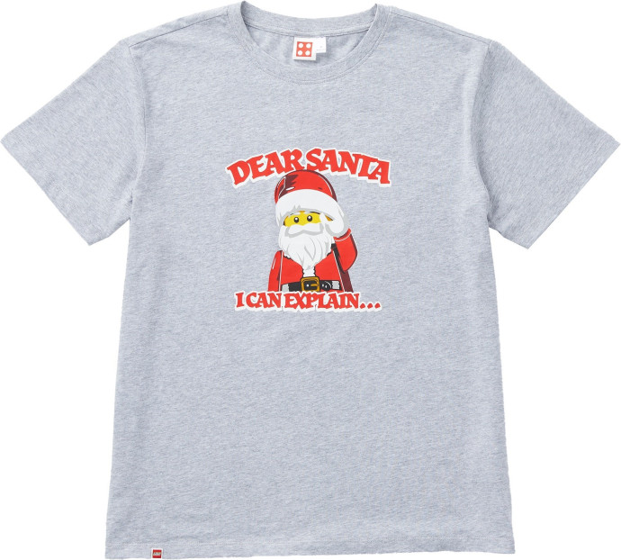 Adults Short Sleeve Dear Santa T Shirt