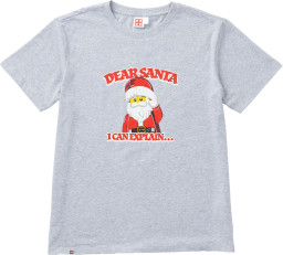 Adults Short Sleeve Dear Santa T Shirt
