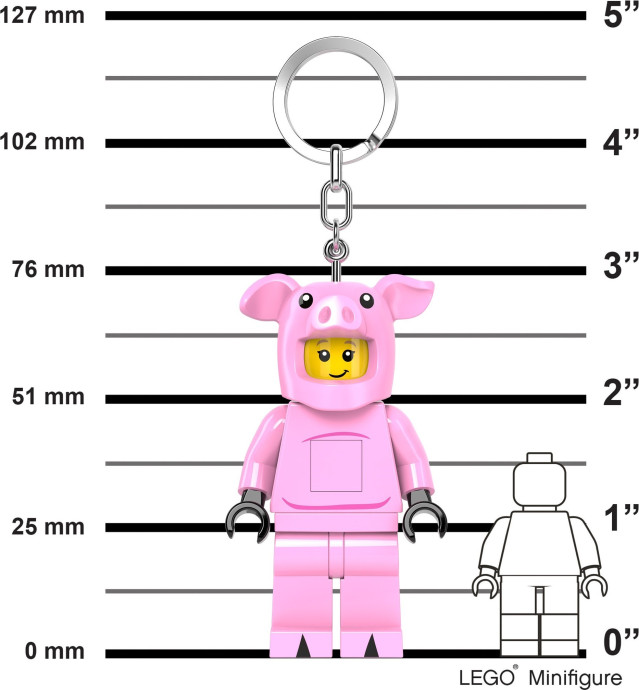 Piggy Guy Key Light