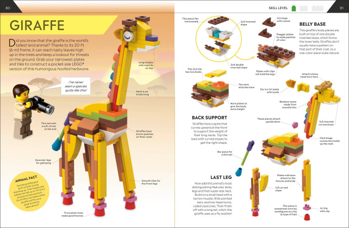 How to Build Everything!