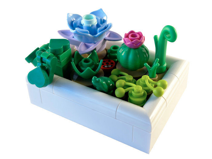 Miniatúrna púštna záhrada