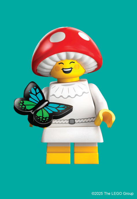 Minifigúrky: 100 zberateľských pohľadníc