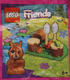 Squirrel and camp fire