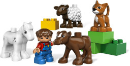 Farm Nursery