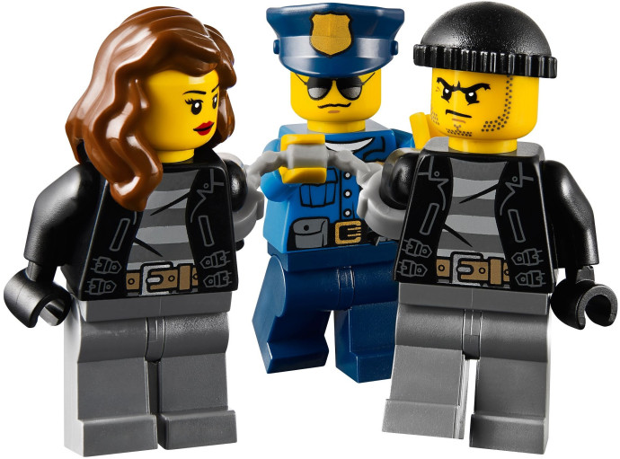 Rychlá policejní honička