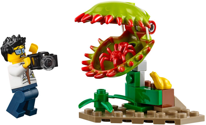 Jungle Exploration Site