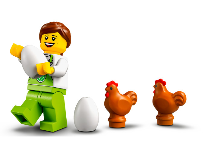 Chicken Henhouse