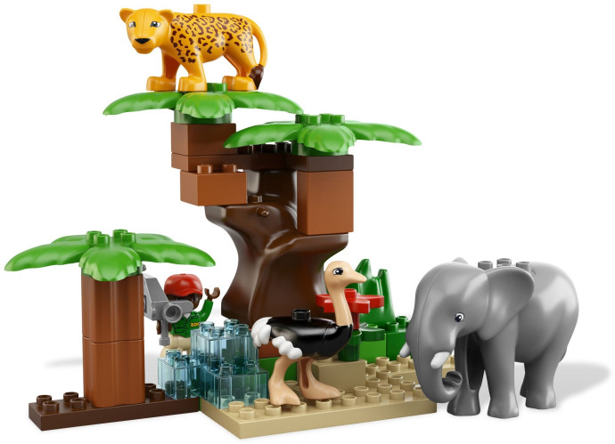 Fotíme safari