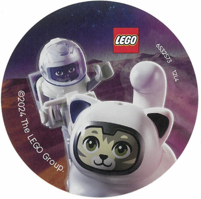{Space Sticker}
