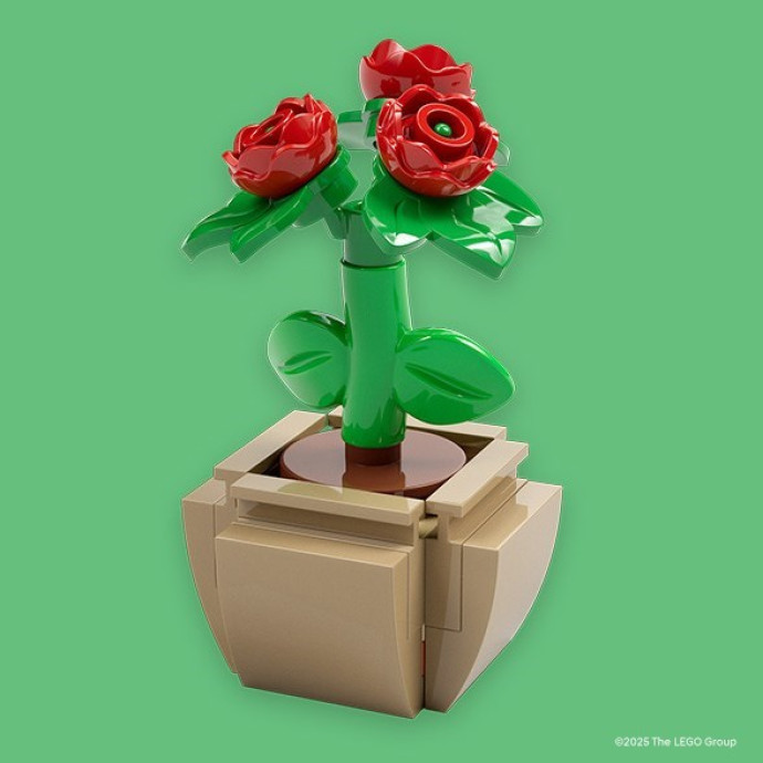 Mother's Day Flower M&T