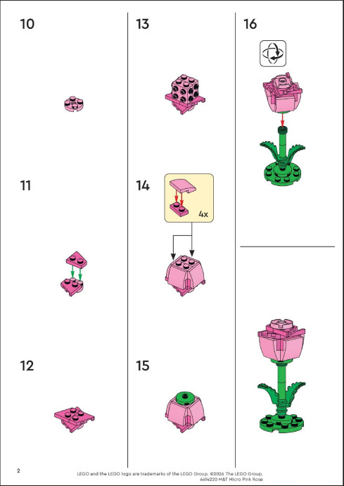 Micro Pink Rose