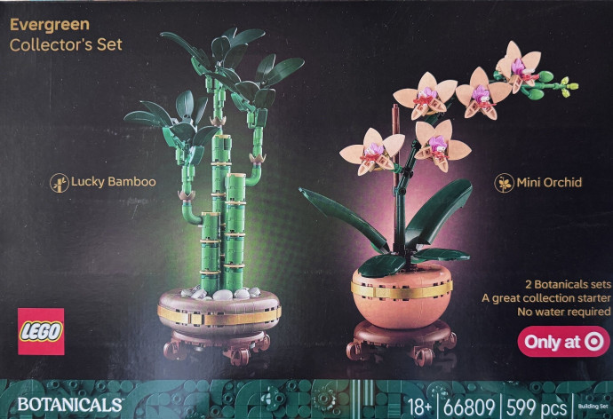 Evergreen Collector's Set