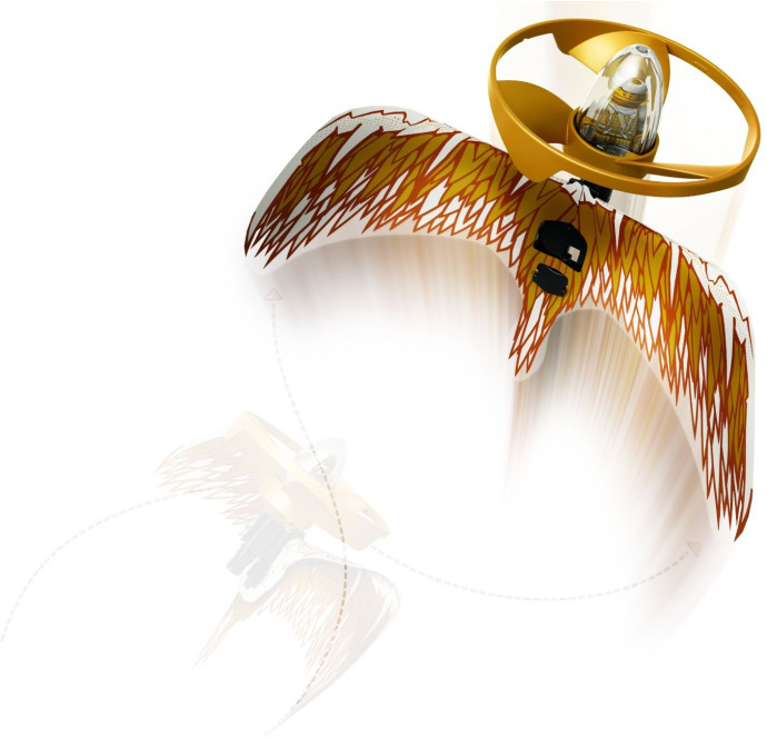 Golden Dragon Master