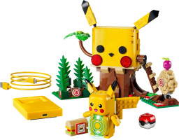 Training House with Pikachu