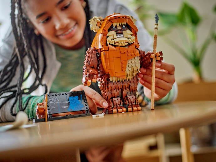 Ewok Wicket™