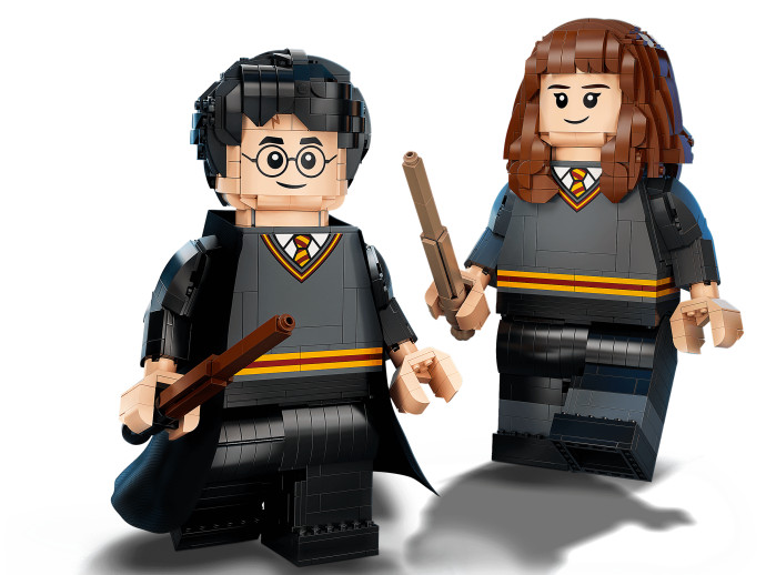 Harry Potter & Hermione Granger