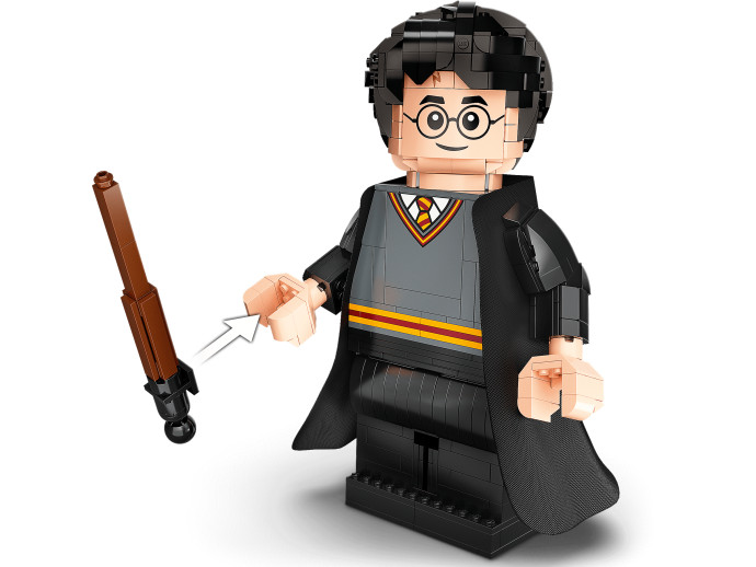 Harry Potter & Hermione Granger