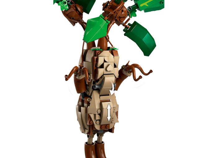 Mandragora