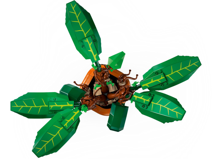 Mandragora