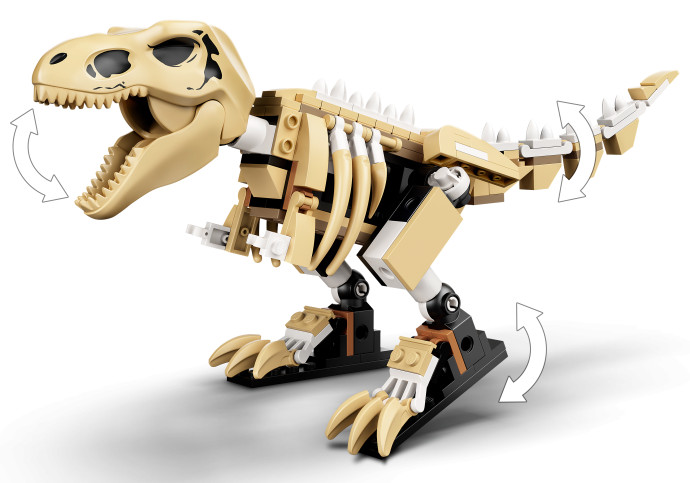 T. rex Dinosaur Fossil Exhibition