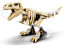 Výstava fosílií T-rexe