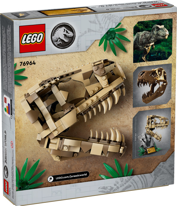 Dinosaurie fosílie: Lebka T-Rexa