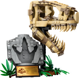 Dinosauří fosilie: Lebka T-rexe