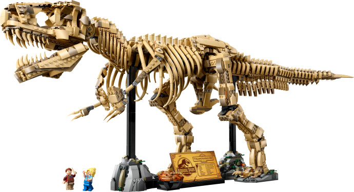 Dinosauří fosilie: Tyrannosaurus rex