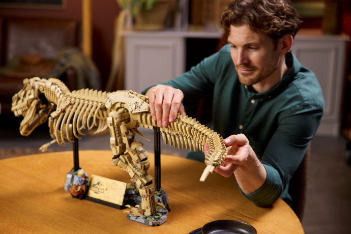 Dinosaurie fosílie: Tyrannosaurus rex