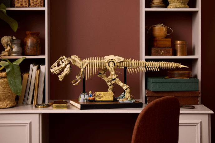 Dinosaurie fosílie: Tyrannosaurus rex