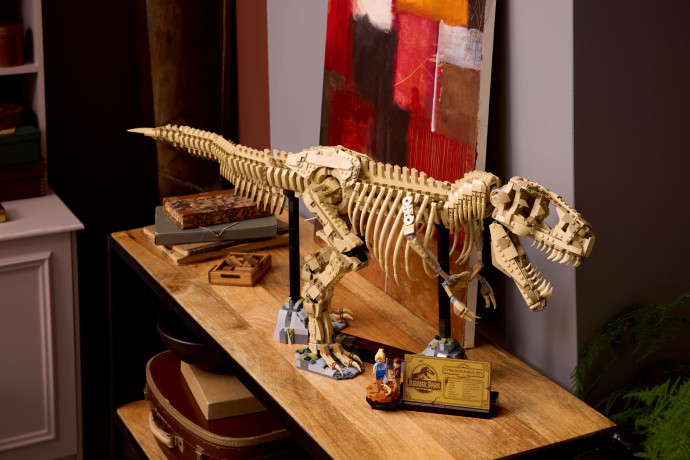 Dinosaurie fosílie: Tyrannosaurus rex