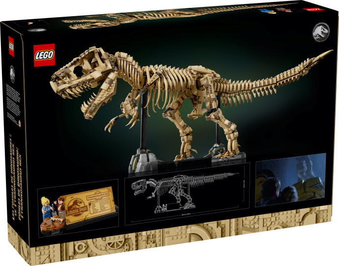 Dinosaurie fosílie: Tyrannosaurus rex