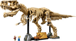 Dinosauří fosilie: Tyrannosaurus rex