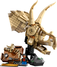 Dinosauří fosilie: Lebka triceratopse